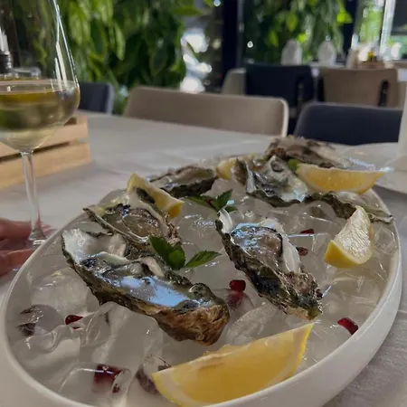 Szálloda Bar Restorant Ylli 4*